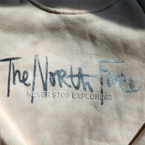 Off White North Face Pullover - Picture 2 of 6